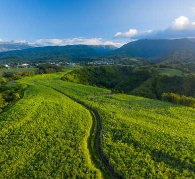 Aerial view of a walking path in an agricultural field during a beautiful sunny day in Saint-Beno&icirc;t, Reunion.