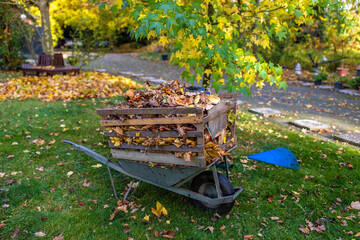 Schubkarre mit Aufsatz voll Laub im Herbst Gartenarbeit 