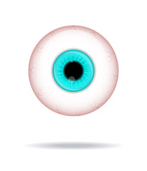 Realistic human eyeball. Eyeball with blue iris photo realistic vector illustration.