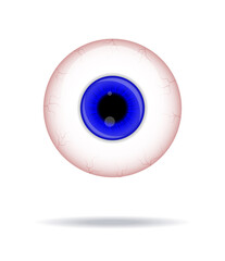 WebRealistic human eyeball. Eyeball with blu iris photo realistic vector illustration.