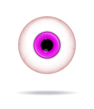 WebRealistic human eyeball. Eyeball with purple iris photo realistic vector illustration.
