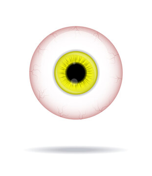 Realistic human eyeball. Eyeball with yellow iris photo realistic vector illustration