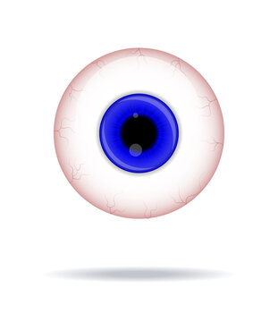 WebRealistic human eyeball. Eyeball with blu iris photo realistic vector illustration.