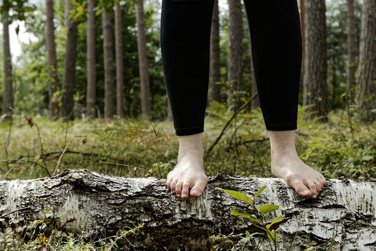 Woman is standing barefoot on birch tree trunk in forest area. Feets with bunion.