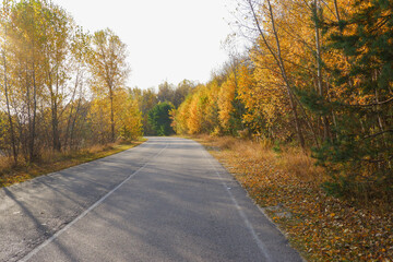 Autumn landscape. Empty asphalt road passing through the autumn forest. Bright yellow foliage of trees.