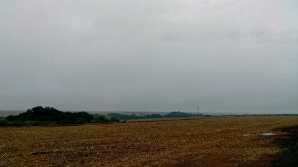 Fototapeta premium Gray sky with heavy clouds, light fog, post-harvest planting, green forest. Céu cinza com nuvens carregadas, leve neblina, plantação pós-colheita, mata verde. @gevairnorberto