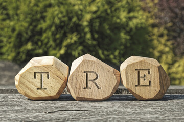Letters TRE on wooden blocks. Tension and Trauma Releasing Exercises therapy treatment concept. - obrazy, fototapety, plakaty