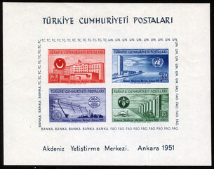 Republic of Turkey postage stamp. Republic of Turkey historical stamp. A postage stamp printed in Republic of Turkey.