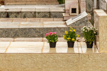 Três vasos com flores sobre um túmulo no cemitério.