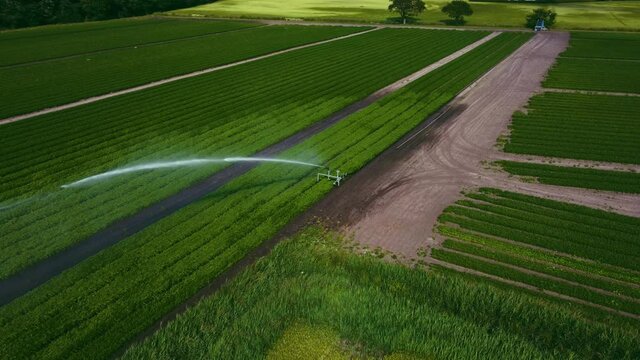 Aerial view of arable crop irrigation system in agriculture 