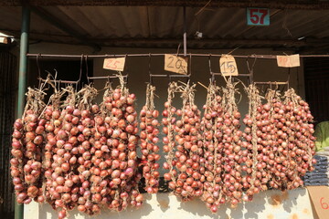 Zwiebel-Verkauf - Kuba - Camagüey 