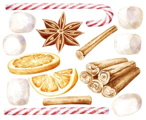 Set of spices, citrus, marshmallow and candies on white background. Food Illustration.