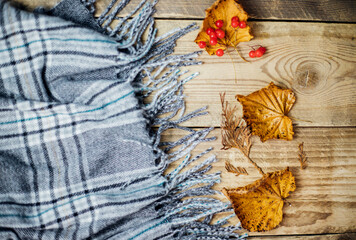 A soft plaid scarf with fringe lies on a light wooden background, autumn leaves are scattered nearby. Soft grey fabric.