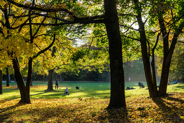 Schöner Herbst in München: Menschen, bunte Bäume und schöne Wiese in der Sonne im Hirschgarten