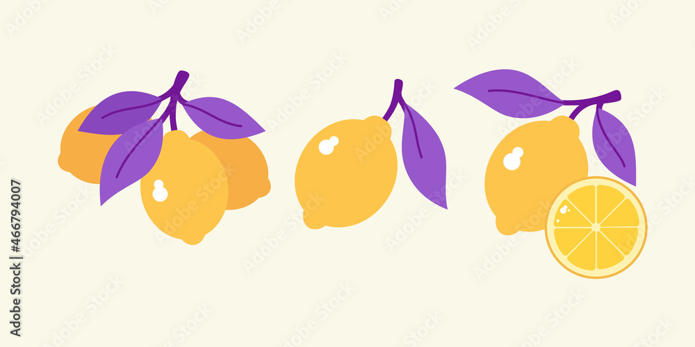 Poster a set of lemon images. fruit on a branch with leaves. isolated images on a light background.