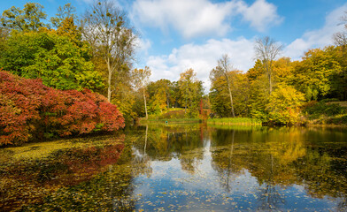 Fototapeta na wymiar lake in autumn park