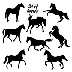 set,  isolated realistic black silhouettes of horses on a white background