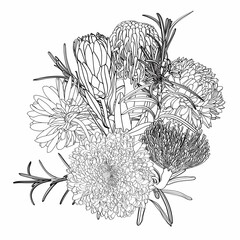 Vintage floral composition with line protea, aster flower and leaves on white. Romantic design for natural cosmetics, perfume, women products. Can be used for greeting card, wedding invitation.