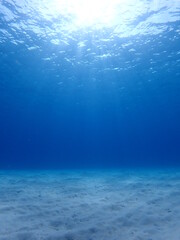 沖縄県の阿嘉島の珊瑚礁や海底の砂が綺麗な海の風景