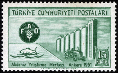 Republic of Turkey postage stamp. Republic of Turkey historical stamp. A postage stamp printed in Republic of Turkey.