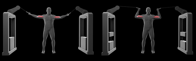 3D Illustration of High Cable Curl