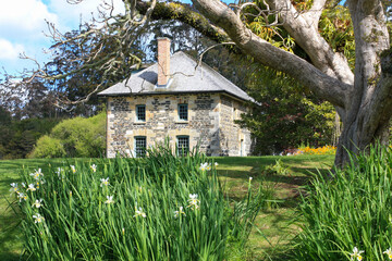 View of the Stone Store, in spring, New Zealand's oldest surviving stone building, Kerikeri, Bay of Islands