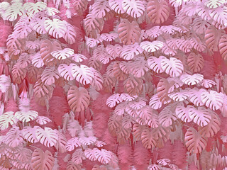 3d exotic pink leaves of monstera and fern background