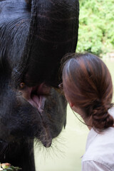 A woman checking the mouth of an elephant after feeding it.