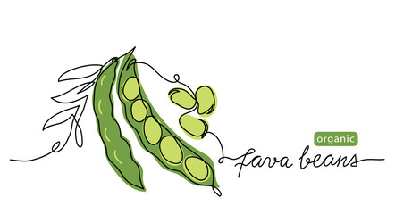 Fava beans simple color vector illustration. One continuous line art drawing with lettering organic fava beans - obrazy, fototapety, plakaty