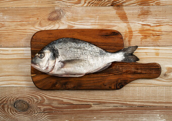 Orata Fish Isolated, Fresh Dorado, Seabream