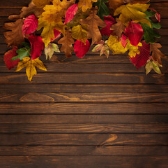 Naklejka na ściany i meble Autumn colorful leaves different trees on wooden background with copy space