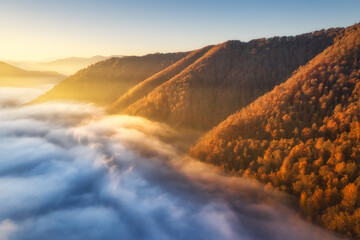 Mountains in low clouds at sunrise in autumn. Aerial view of mountain peaks and red trees in fog in fall. Beautiful landscape with foggy hills, forest, sunbeam. View from above of mountain valley