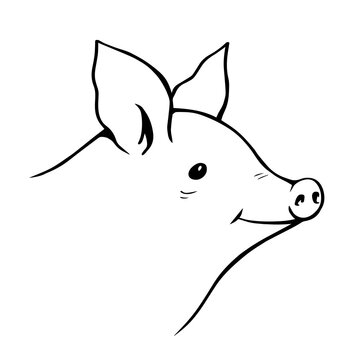 Pig head on a white background. Farming and pets. Food and meat. Cartoon illustration outline hand drawn