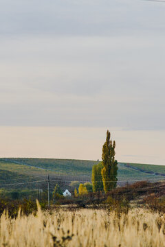 view from the hill