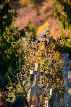 cross in the graveyard