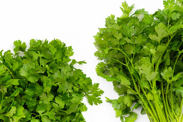 Fresh coriander on white background.