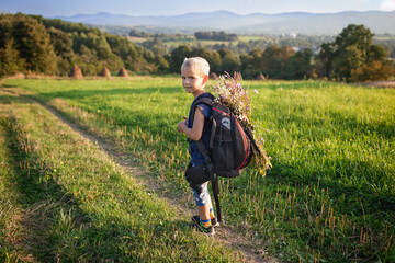 Naklejka na ściany i meble Little hiker with backpack comes from the mountain and carries a bouquet of wildflowers that he collected for his mother, gorgeous landscape, beauty of nature, view from behind