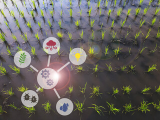 Environment and technologies symbols on nature background. Technologies and innovations in agro-industry concept.
