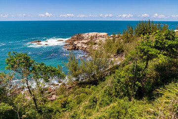 Cliff rocks with vegetation and waves