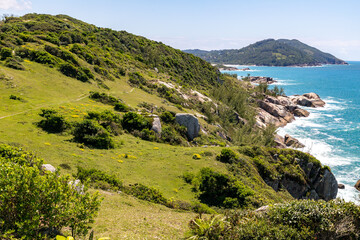 Fototapeta na wymiar Beach view with waves, rocks and vegetation
