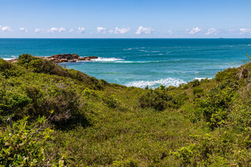 Fototapeta na wymiar Beach view with waves and vegetation