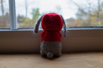 Toy knitted hare looks out the window
