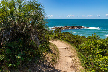 Fototapeta na wymiar Trail to the beach with rocks and vegetation