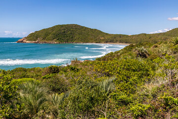Beach view with waves and vegetation