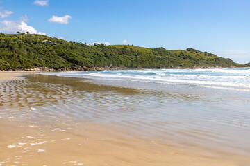 Beach view with waves and vegetation