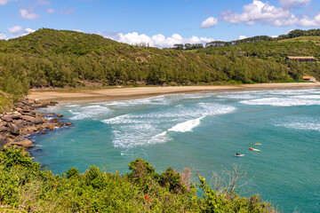 Beach view with waves surfers and vegetation