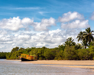 Vegetation by the coast