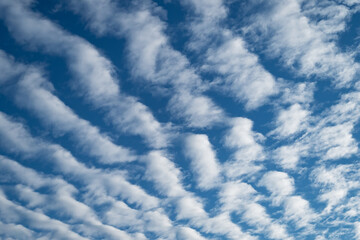 White fluffy cumulus on the background of blue sky