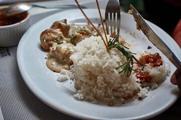 rice with chicken