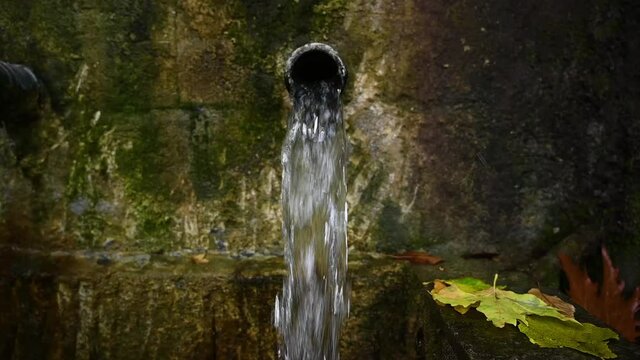 Spring Water Fountain Autumn Yellow Leaves Video FullHD